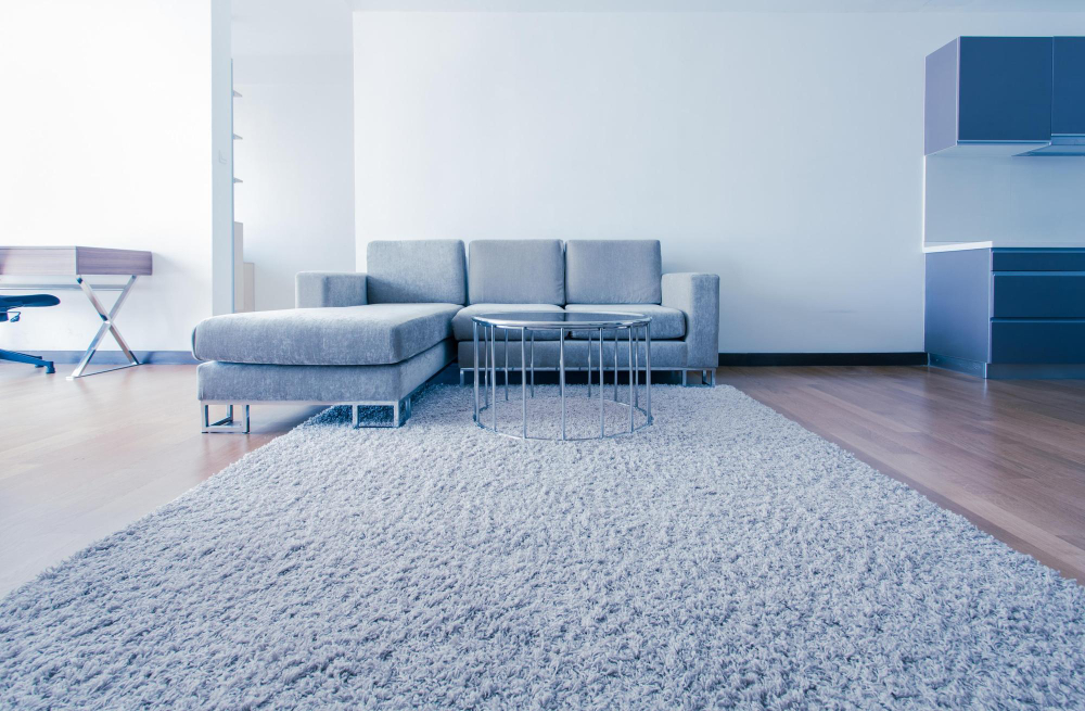 Carpet Cleaning Services in Egypt Lake-Leto