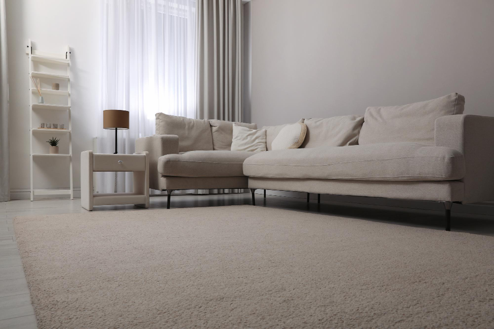 Carpet Cleaning Services in Zephyrhills