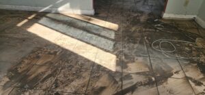 Pressure Cleaning Prevents Mold and Mildew After a Storm