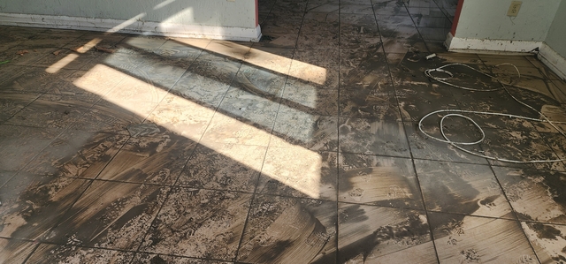 Pressure Cleaning Prevents Mold and Mildew After a Storm